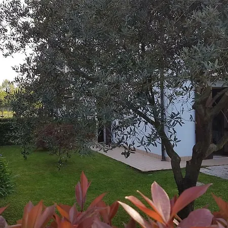 Villacolle Appartamento *